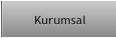 Kurumsal Kurumsal